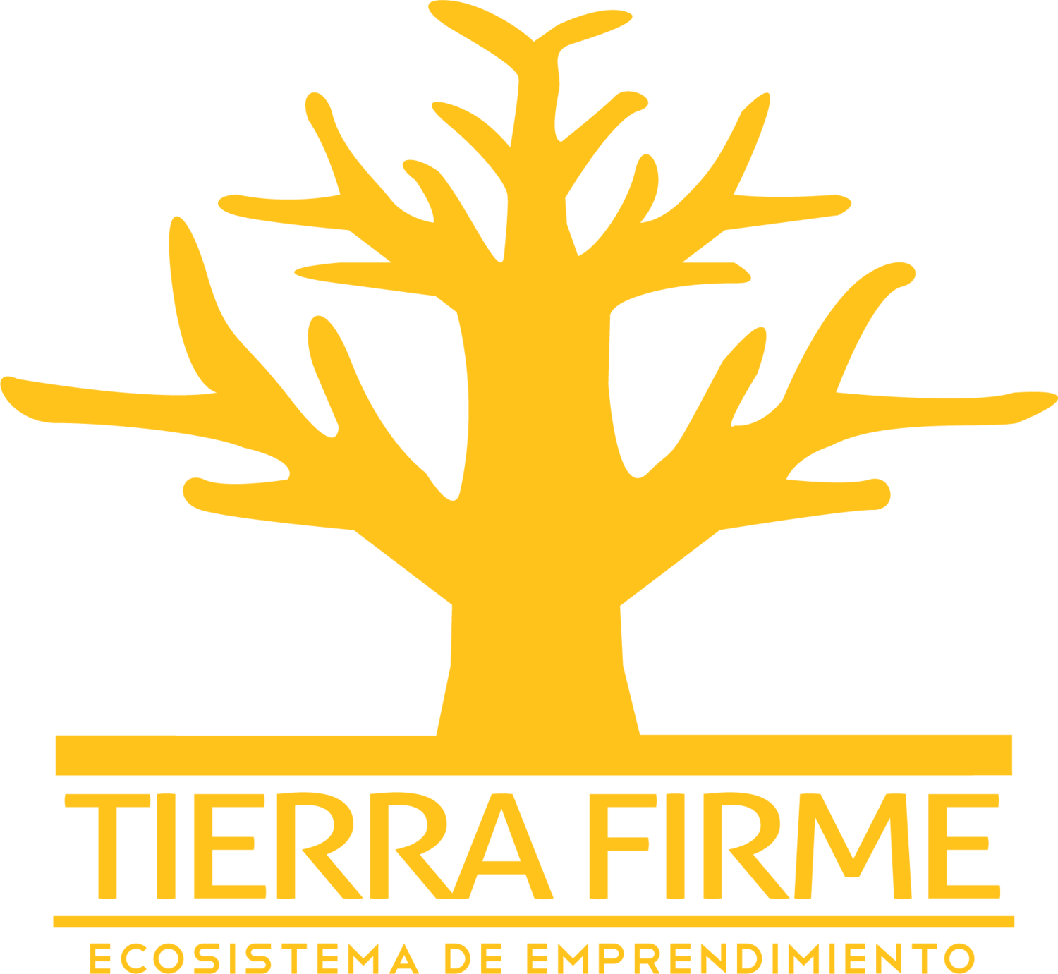 Tierra Firme